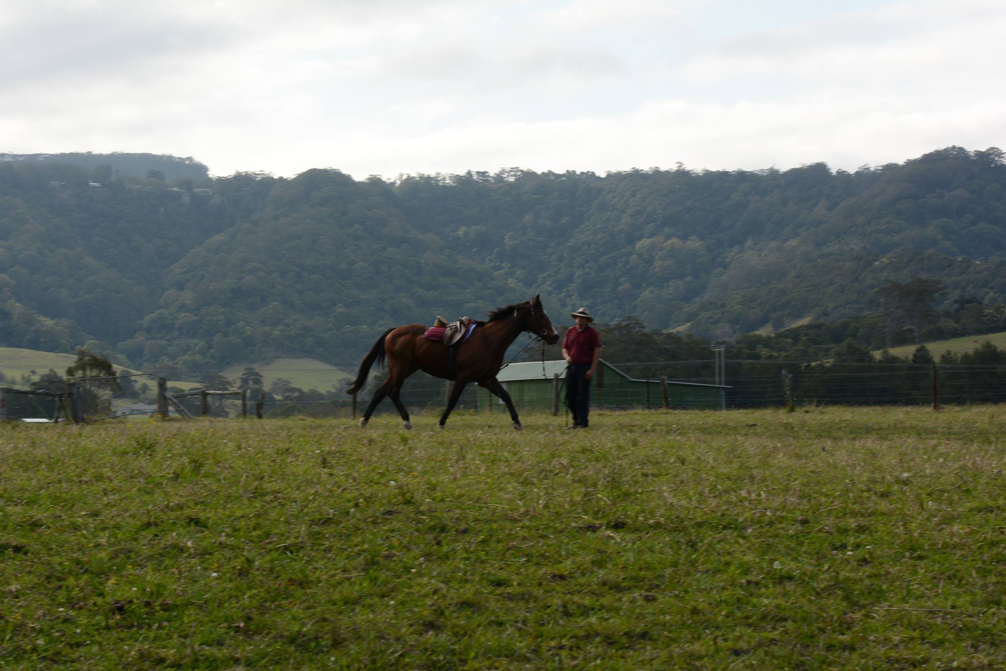 Cameron at work on the South Coast
